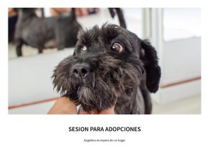 Album albergues